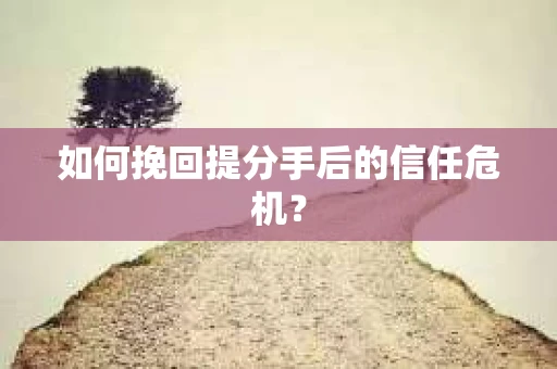 如何挽回提分手后的信任危机？