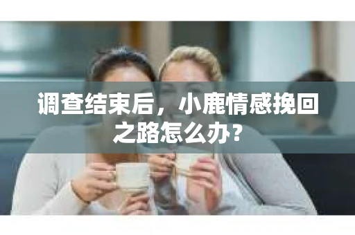 调查结束后,小鹿情感挽回之路怎么办? 调查结束后,小鹿情感挽回之路怎么办?