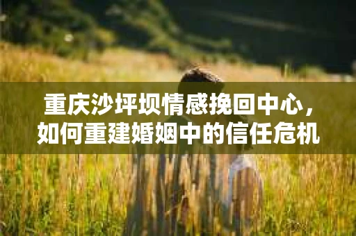 重庆沙坪坝情感挽回中心，如何重建婚姻中的信任危机？