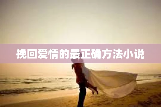挽回爱情的最正确方法小说