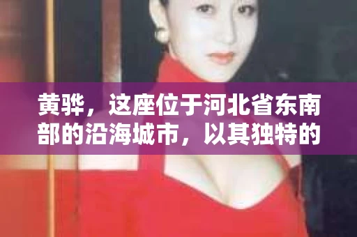 黄骅，这座位于河北省东南部的沿海城市，以其独特的地理位置和丰富的历史文化而闻名。然而，在这座城市中，还有一群人，他们以另一种方式默默守护着社会的公平与正义——私家侦探。今天，我们就来聊聊黄骅的私家侦探，看看他们是如何在这个城市中发挥作用的。