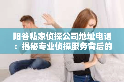 阳谷私家侦探公司地址电话：揭秘专业侦探服务背后的故事