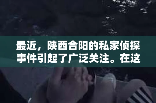 最近，陕西合阳的私家侦探事件引起了广泛关注。在这个信息爆炸的时代，隐私保护显得尤为重要。今天，我们就来聊聊这个事件，看看它背后的一些故事。