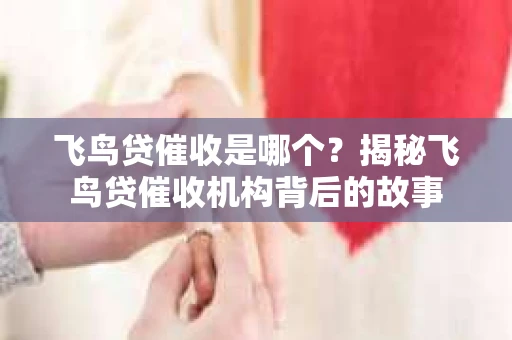 飞鸟贷催收是哪个？揭秘飞鸟贷催收机构背后的故事