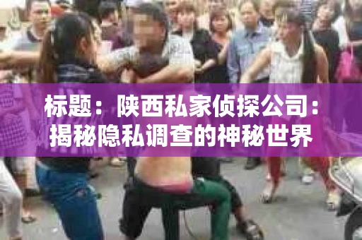 标题：陕西私家侦探公司：揭秘隐私调查的神秘世界