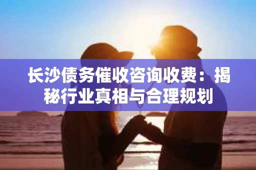 长沙债务催收咨询收费：揭秘行业真相与合理规划