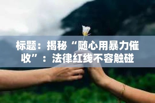 标题：揭秘“随心用暴力催收”：法律红线不容触碰