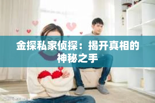 金探私家侦探：揭开真相的神秘之手
