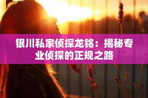 银川私家侦探龙铭：揭秘专业侦探的正规之路