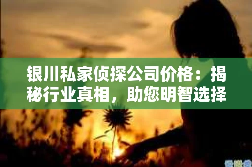 银川私家侦探公司价格：揭秘行业真相，助您明智选择