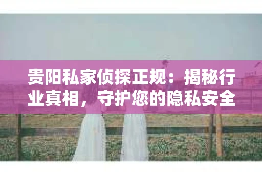 贵阳私家侦探正规：揭秘行业真相，守护您的隐私安全