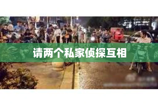 请两个私家侦探互相