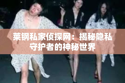 莱钢私家侦探网：揭秘隐私守护者的神秘世界