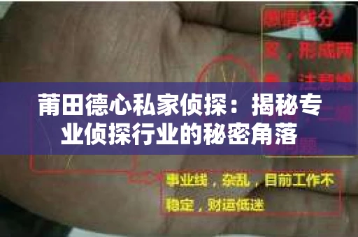 莆田德心私家侦探：揭秘专业侦探行业的秘密角落