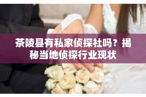 茶陵县有私家侦探社吗？揭秘当地侦探行业现状