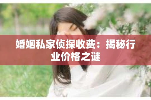 婚姻私家侦探收费：揭秘行业价格之谜