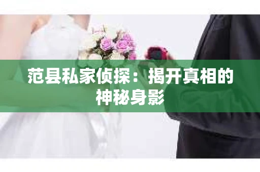 范县私家侦探：揭开真相的神秘身影