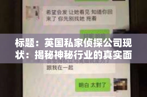 标题：英国私家侦探公司现状：揭秘神秘行业的真实面貌