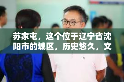 苏家屯，这个位于辽宁省沈阳市的城区，历史悠久，文化底蕴深厚。近年来，随着社会的发展，人们对于私家侦探的需求也逐渐增加。那么，苏家屯有私家侦探吗？今天，我们就来聊聊这个话题。