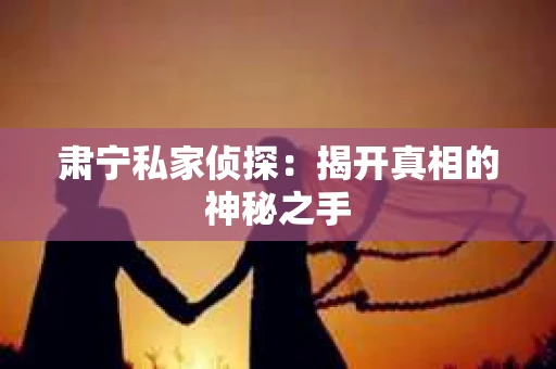 肃宁私家侦探：揭开真相的神秘之手