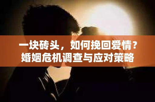 一块砖头，如何挽回爱情？婚姻危机调查与应对策略