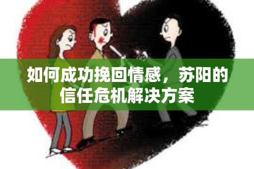 如何成功挽回情感，苏阳的信任危机解决方案