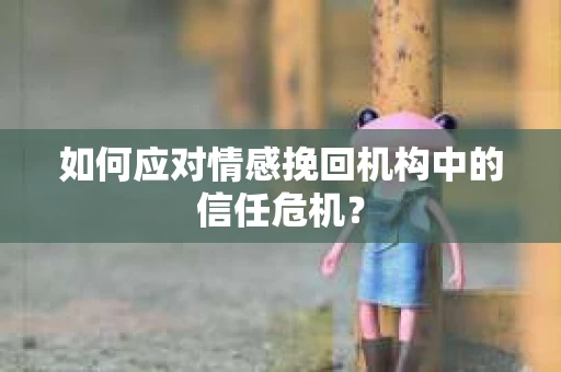 如何应对情感挽回机构中的信任危机？