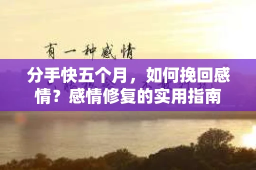 分手快五个月，如何挽回感情？感情修复的实用指南