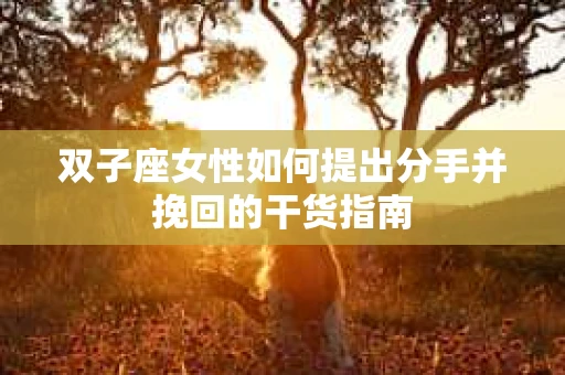 双子座女性如何提出分手并挽回的干货指南