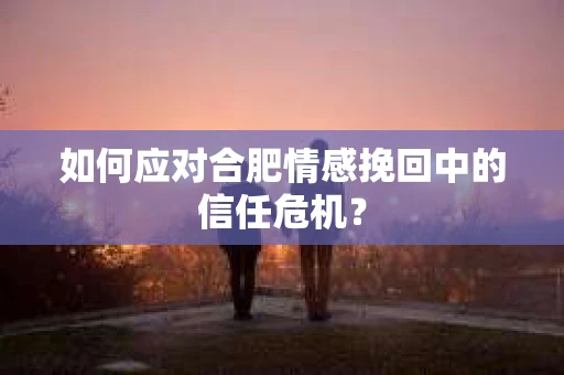 如何应对合肥情感挽回中的信任危机？