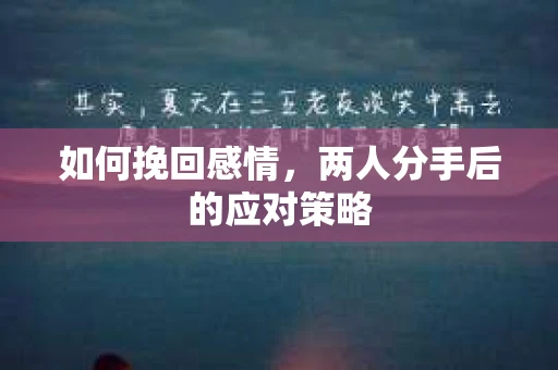 如何挽回感情,两人分手后的应对策略 如何挽回感情,两人分手后的应对策略