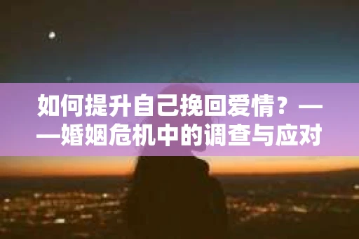 如何提升自己挽回爱情？——婚姻危机中的调查与应对策略